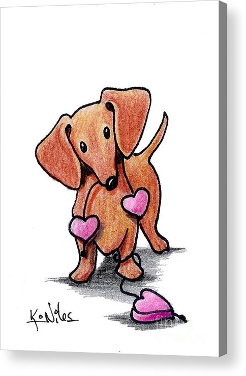 Doxie Acrylic Print featuring the drawing KiniArt Heartstrings Doxie by Kim Niles aka KiniArt