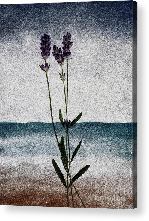 Sea Scape Acrylic Print featuring the painting Lavender Ocean Breath by Shelley Myers