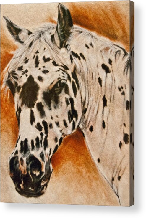Horse Art Acrylic Print featuring the painting Leopard Appy by Jani Freimann