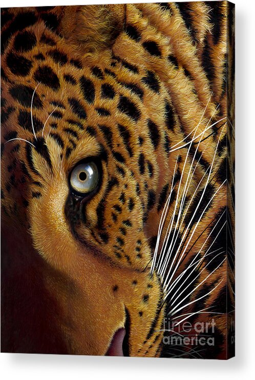 Leopard Acrylic Print featuring the painting Leopard by Jurek Zamoyski