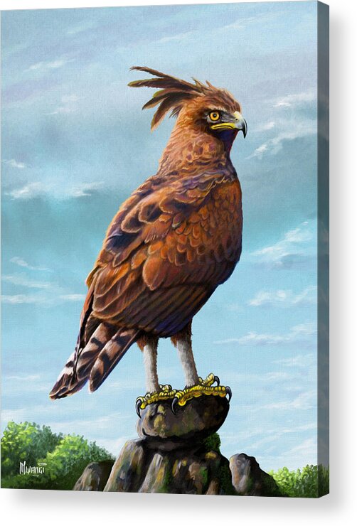 Eagle Acrylic Print featuring the painting Long Crested Eagle by Anthony Mwangi