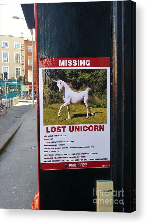 Unicorn Acrylic Print featuring the photograph Lost Unicorn by Rosanne Licciardi