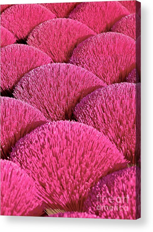 Red Sound Of Asia Acrylic Print featuring the photograph MAGENTA SOUND of ASIA by Silva Wischeropp