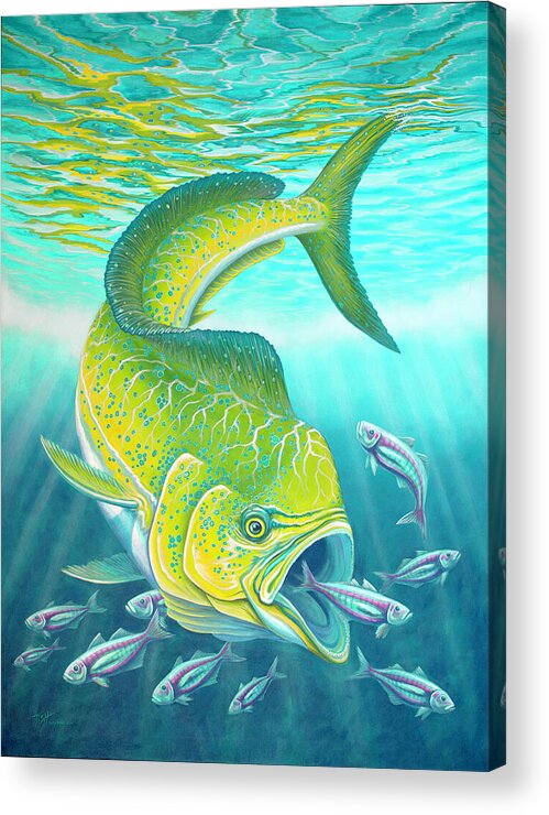 Mahi Mahi Acrylic Print featuring the painting Mahi Mahi by Tish Wynne