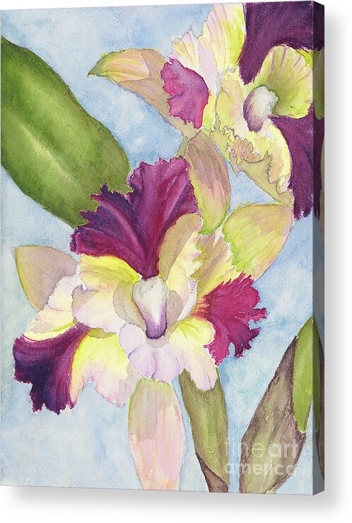 Orchid Acrylic Print featuring the painting Colorful Cattleya Orchid by Lisa Debaets