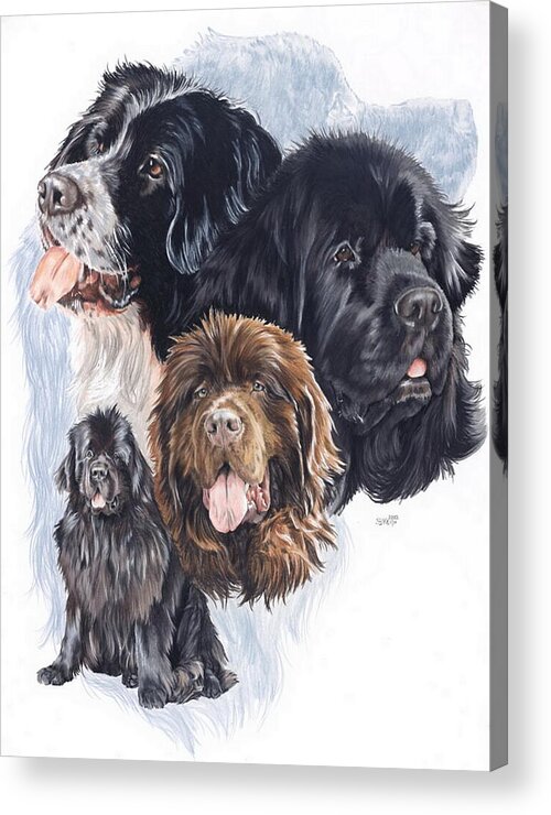 Working Group Acrylic Print featuring the mixed media Newfoundland Revamp by Barbara Keith