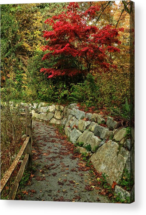 Path Acrylic Print featuring the photograph On The Path by Connie Handscomb