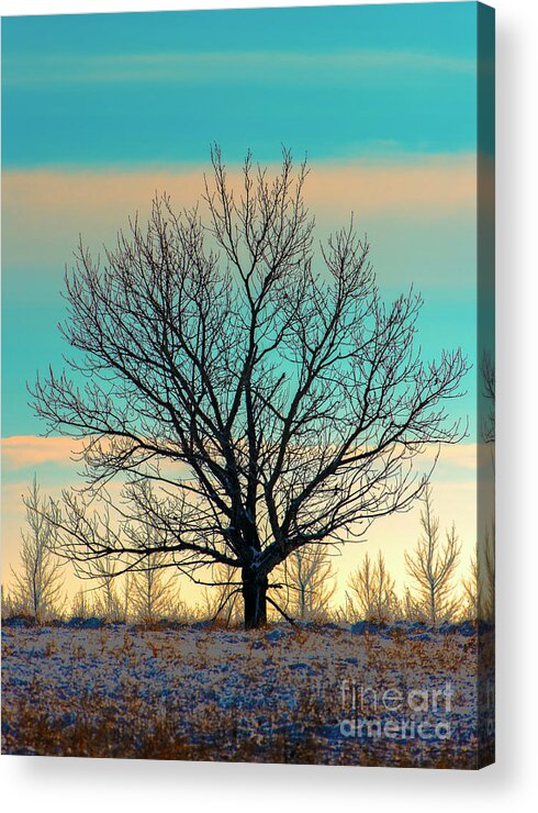 Festblues Acrylic Print featuring the photograph One by Nina Stavlund