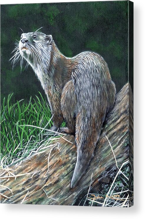 Otter Acrylic Print featuring the painting Otter on Branch by John Neeve
