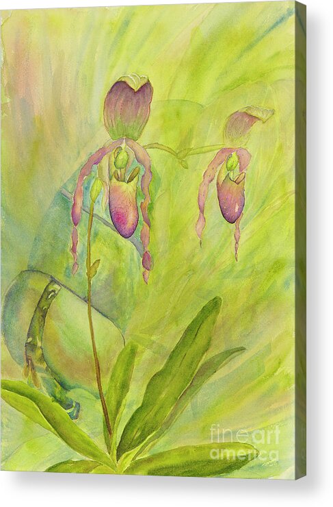Tropical Acrylic Print featuring the painting Paphiopedilum Pollination-Where is the fly? by Lisa Debaets