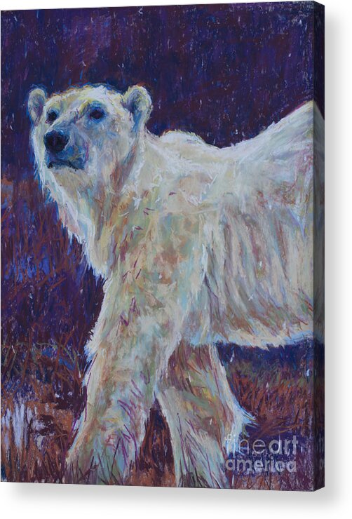 Polar Bear Acrylic Print featuring the pastel Pb Vi by Patricia A Griffin