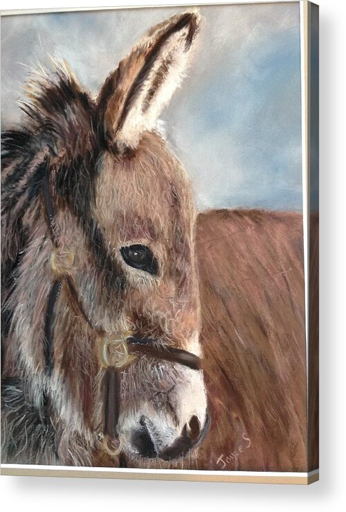Donkey Acrylic Print featuring the painting Pedro by Joyce Spencer