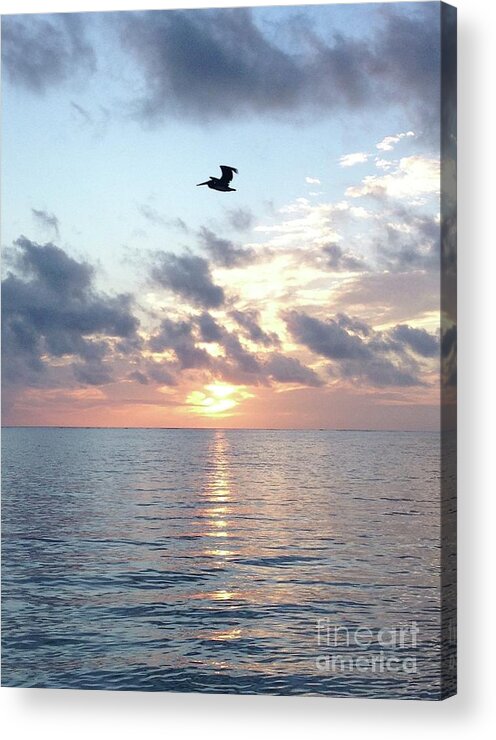 Pelican Acrylic Print featuring the photograph Pelican Dawn by Barbara Von Pagel