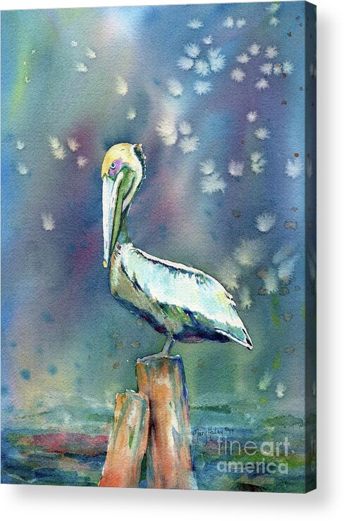 Pelican Acrylic Print featuring the painting Pelican by Mary Haley-Rocks