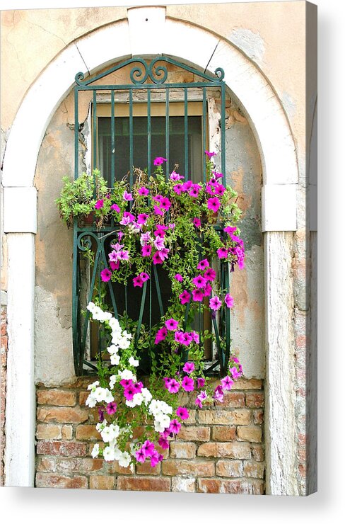 Petunias Acrylic Print featuring the photograph Petunias Through Wrought Iron by Donna Corless