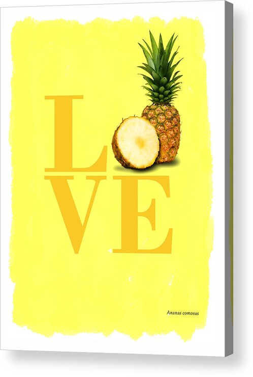 Pineapple Acrylic Print featuring the photograph Pineapple by Mark Rogan