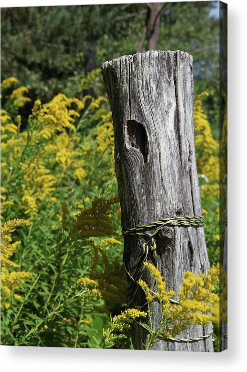 Wood Acrylic Print featuring the photograph Post by Robert Och