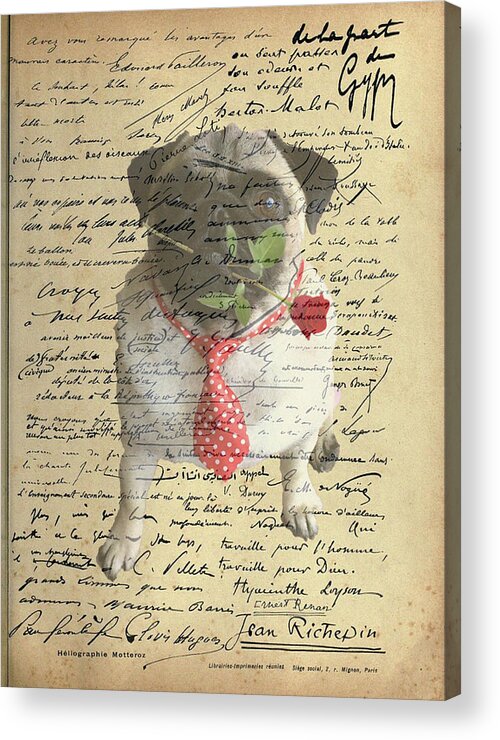 Pug Acrylic Print featuring the photograph Pug in Love by Jackson Pearson