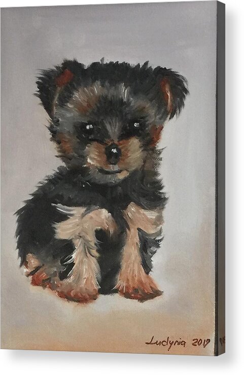 Puppy Acrylic Print featuring the painting Puppy F by Ryszard Ludynia
