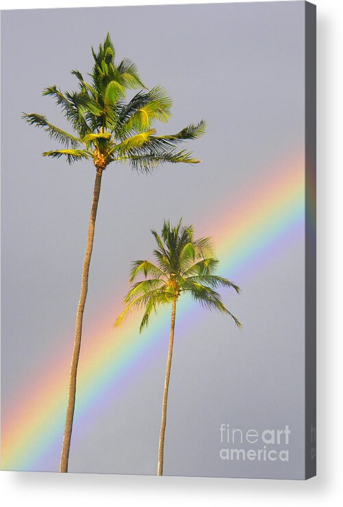 Afternoon Acrylic Print featuring the photograph Rainbow Palms by Ron Dahlquist - Printscapes