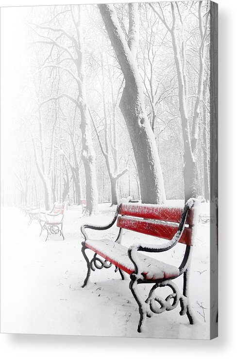 Beautiful Acrylic Print featuring the photograph Red bench in the snow by Jaroslaw Grudzinski
