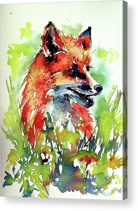 Animal Acrylic Print featuring the painting Red fox relax by Kovacs Anna Brigitta