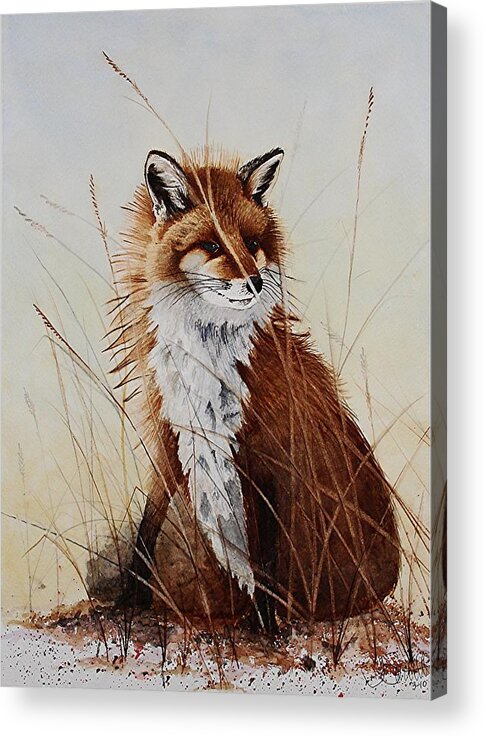 Wildlife Acrylic Print featuring the painting Red Fox Waiting on Breakfast by Jimmy Smith