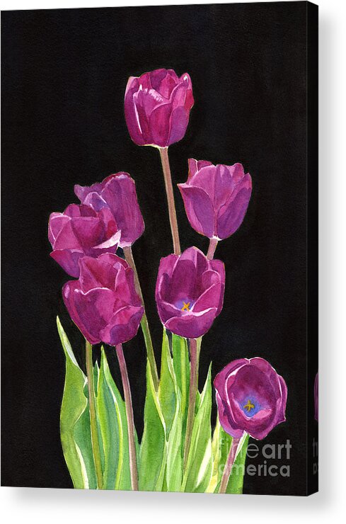 Red Violet Tulips with Black Background Acrylic Print by Sharon Freeman -  Fine Art America