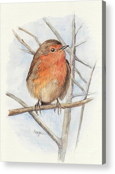 Animal Acrylic Print featuring the painting Robin by Morgan Fitzsimons