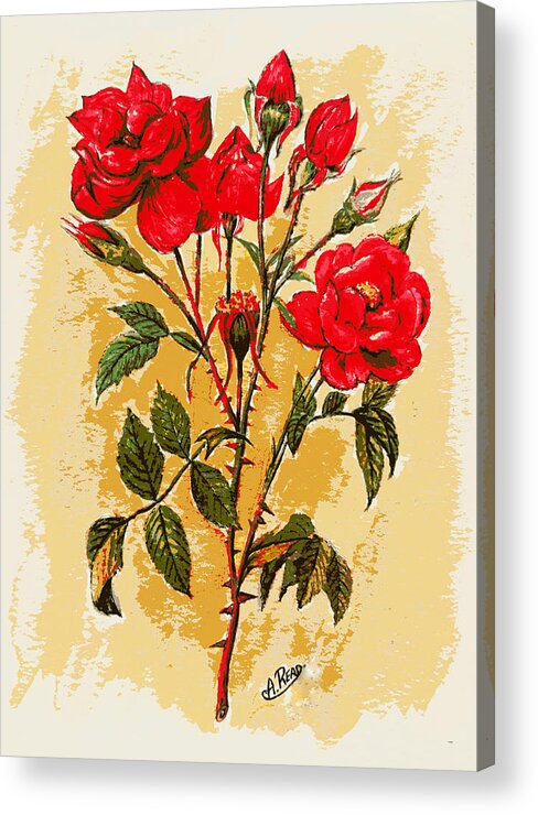 Roses Acrylic Print featuring the painting Rosa Mister Lincoln by Andrew Read