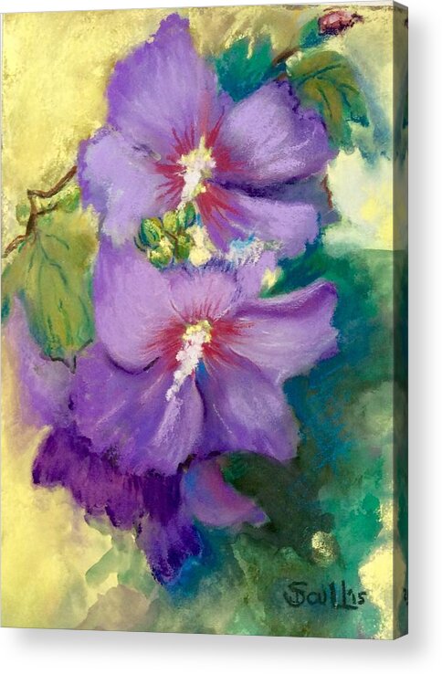 Flowers Acrylic Print featuring the pastel Rose of Sharon by Judith Scull