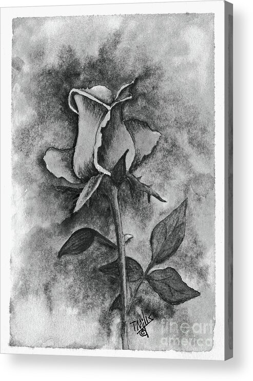 Graphite Acrylic Print featuring the drawing Rose3 by Terri Mills