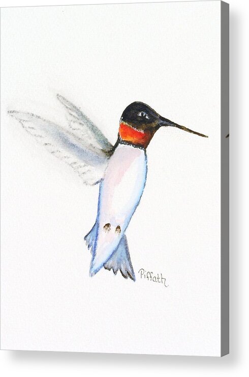 Hummingbird Acrylic Print featuring the painting Ruby Hummer by Patricia Piffath