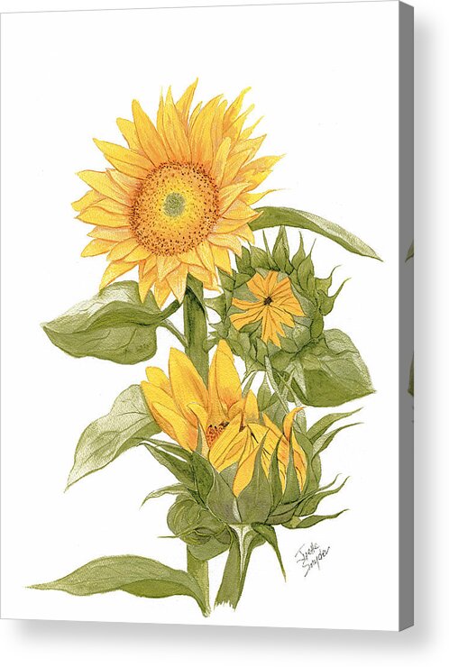 Joette Snyder Acrylic Print featuring the painting Sally's Sunflowers by Joette Snyder