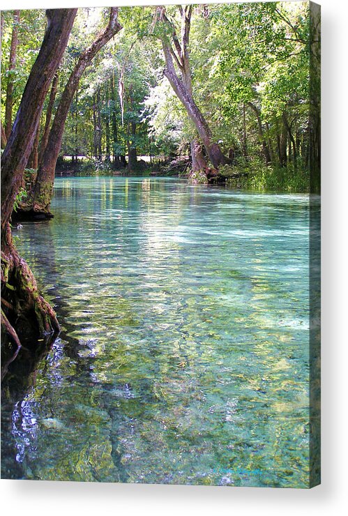 Ginnie Springs Acrylic Print featuring the photograph Serenity by Li Newton