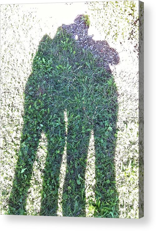 Shadow Acrylic Print featuring the photograph Shadow in the Meadow by Wilhelm Hufnagl
