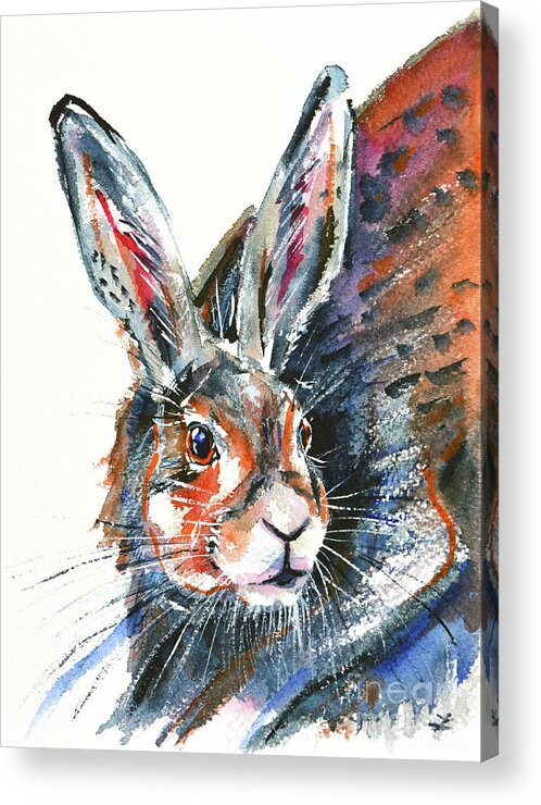 Hare Acrylic Print featuring the painting Shy Hare by Zaira Dzhaubaeva