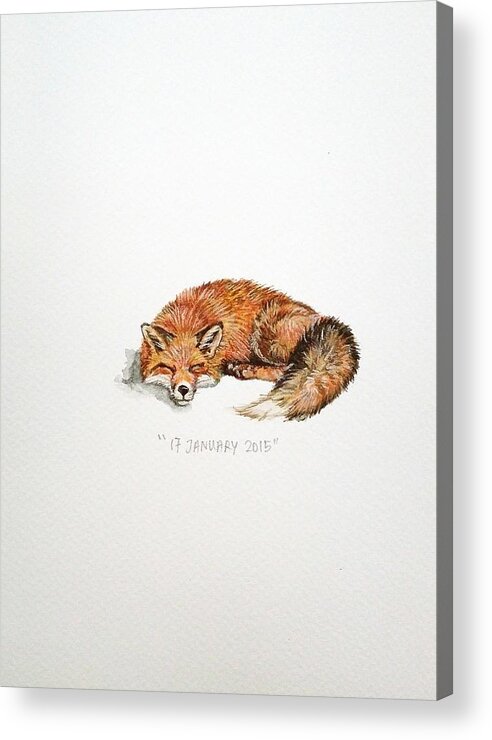 Fox Acrylic Print featuring the painting Sleeping fox by Venie Tee