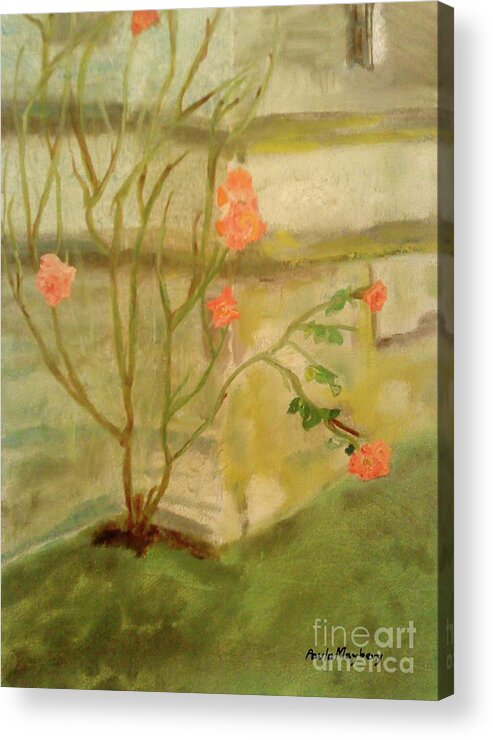 Garden Acrylic Print featuring the painting Southwick Hall Rose by Paula Maybery