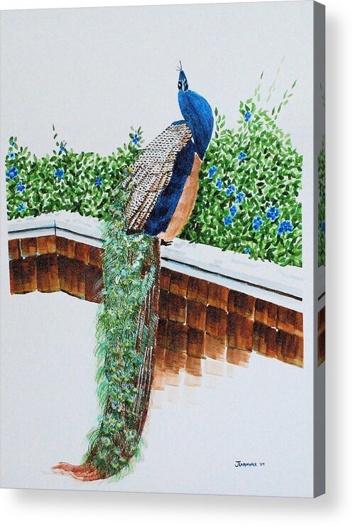 Peacock Acrylic Print featuring the painting Spangled with a Thousand Eyes by Gerald Carpenter