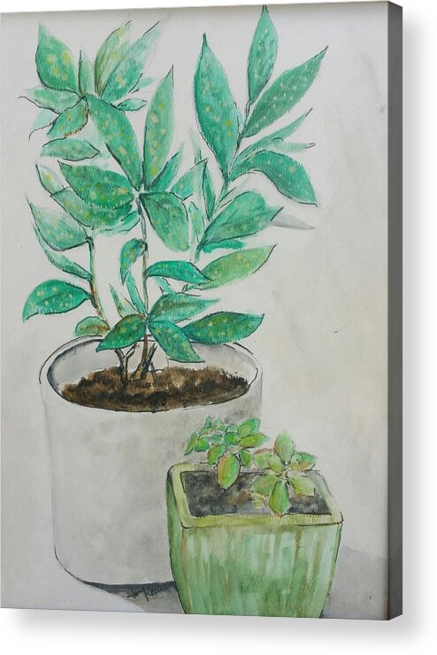  Acrylic Print featuring the painting Still Life Plants by Jan Marie