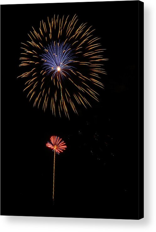 Fireworks Acrylic Print featuring the photograph Sun N Flower by Elaine Malott