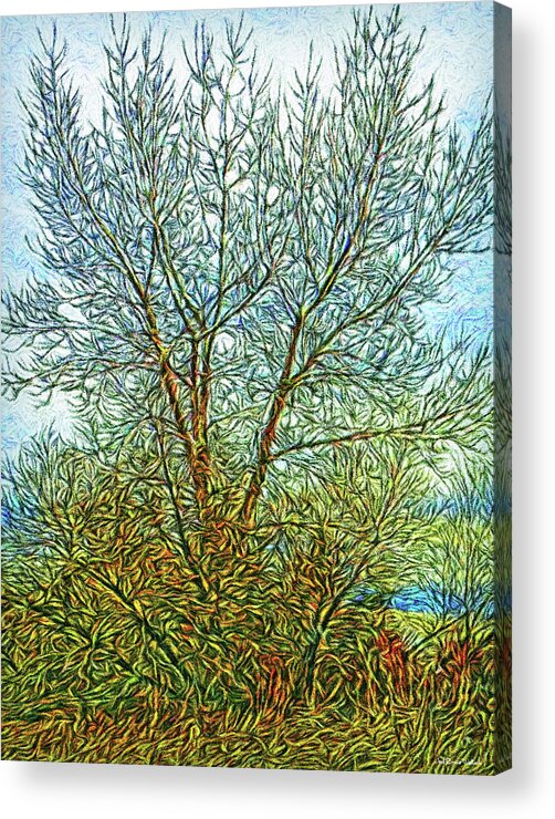 Joelbrucewallach Acrylic Print featuring the digital art Sunlit Trees by Joel Bruce Wallach