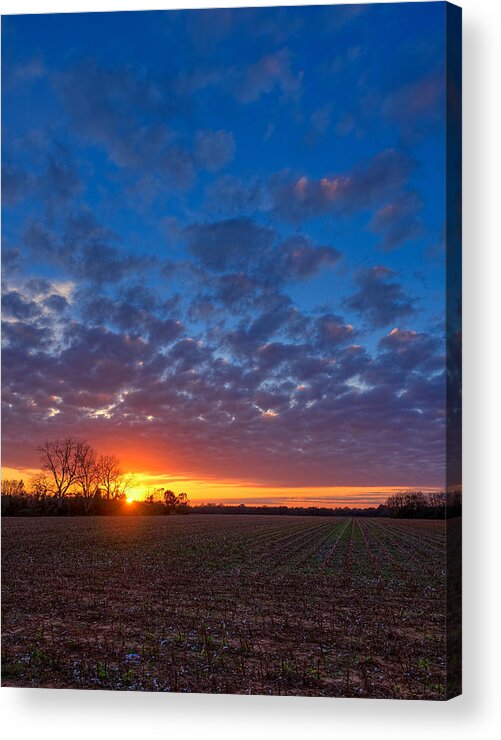 Sunset Acrylic Print featuring the photograph Sunset Field by Brad Boland
