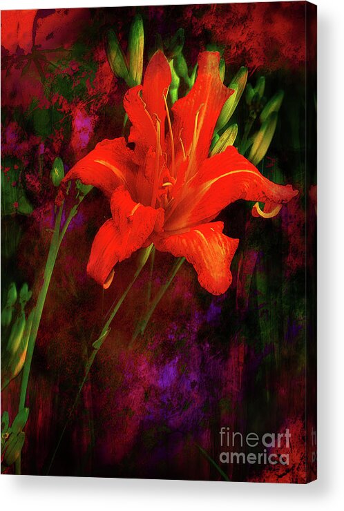 Flowers Acrylic Print featuring the photograph Surprise by John Anderson