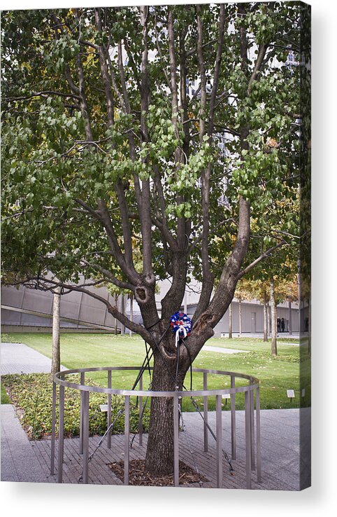 World Trade Center Acrylic Print featuring the photograph Survivor Tree by Teresa Mucha