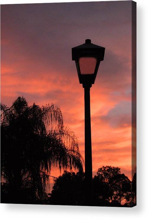 Landscape Acrylic Print featuring the photograph The Lamp by Peggy Urban