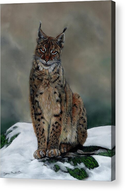Lynx Acrylic Print featuring the painting The Missing Lynx by John Neeve