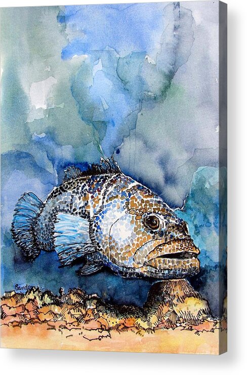 Grouper Acrylic Print featuring the painting Tiger Grouper by Terry Banderas