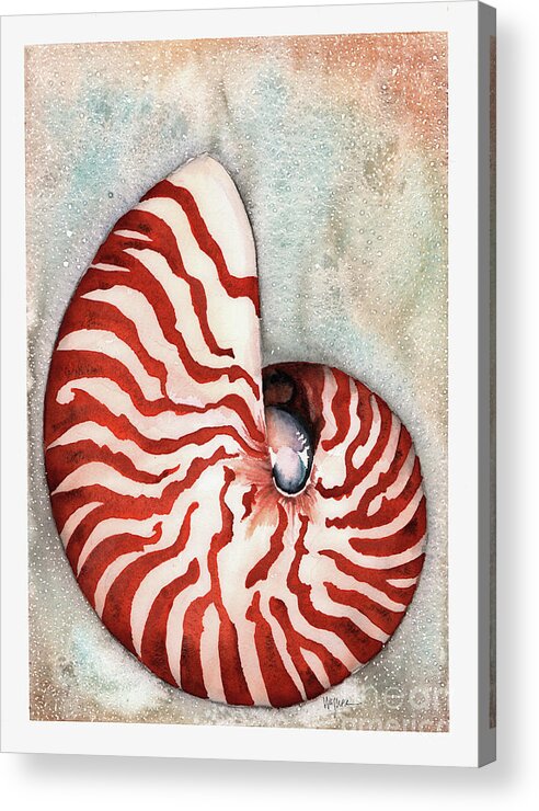 Nautilus Acrylic Print featuring the painting Tiger Nautilus by Hilda Wagner